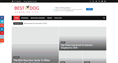 Desktop Screenshot of bestdoggroomingtips.com